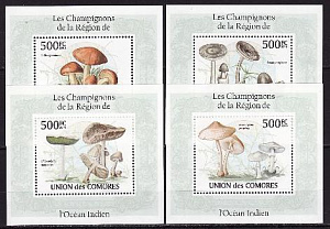 Коморы, 2009, Грибы, 4 люксблока Коморы, 2009, Грибы, 4 люксблока